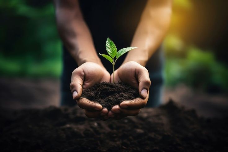 The Power of Your Thoughts: Transforming Your&nbsp;Life